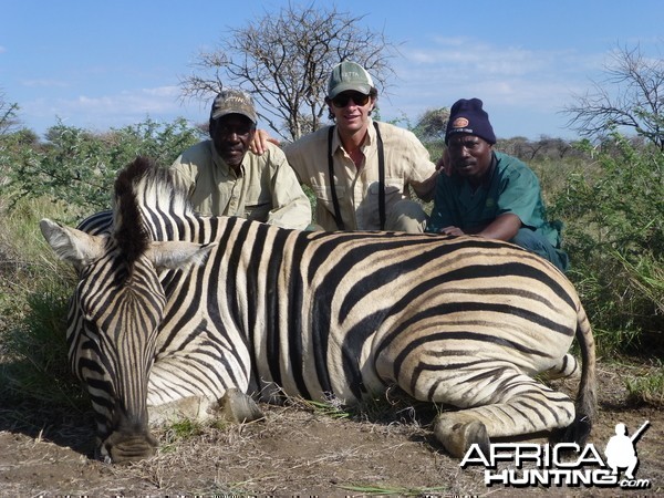 Burchell's Zebra Namibia