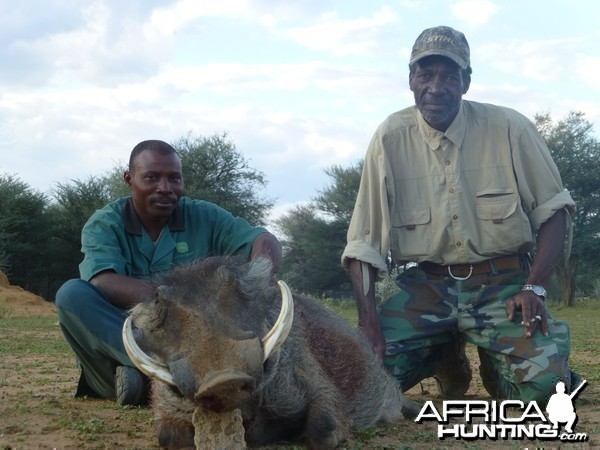 Warthog Namibia