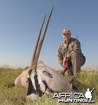 Gemsbok