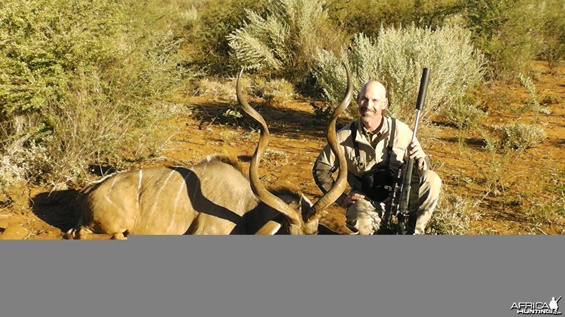 53.5&quot; Greater Kudu Bull