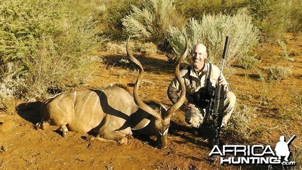 53.5&quot; Greater Kudu Bull