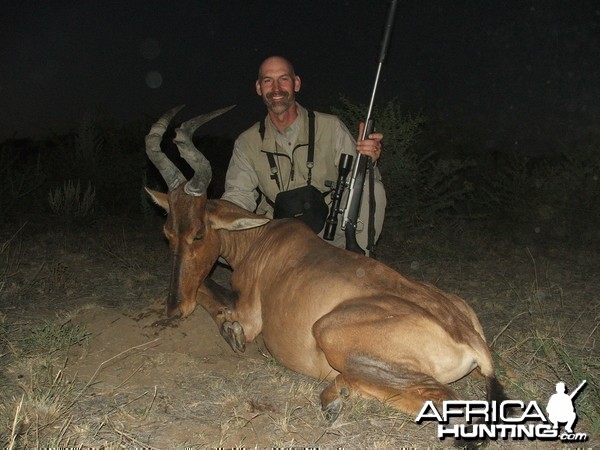 22&quot; Red Hartebeest