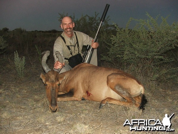 22&quot; Red Hartebeest