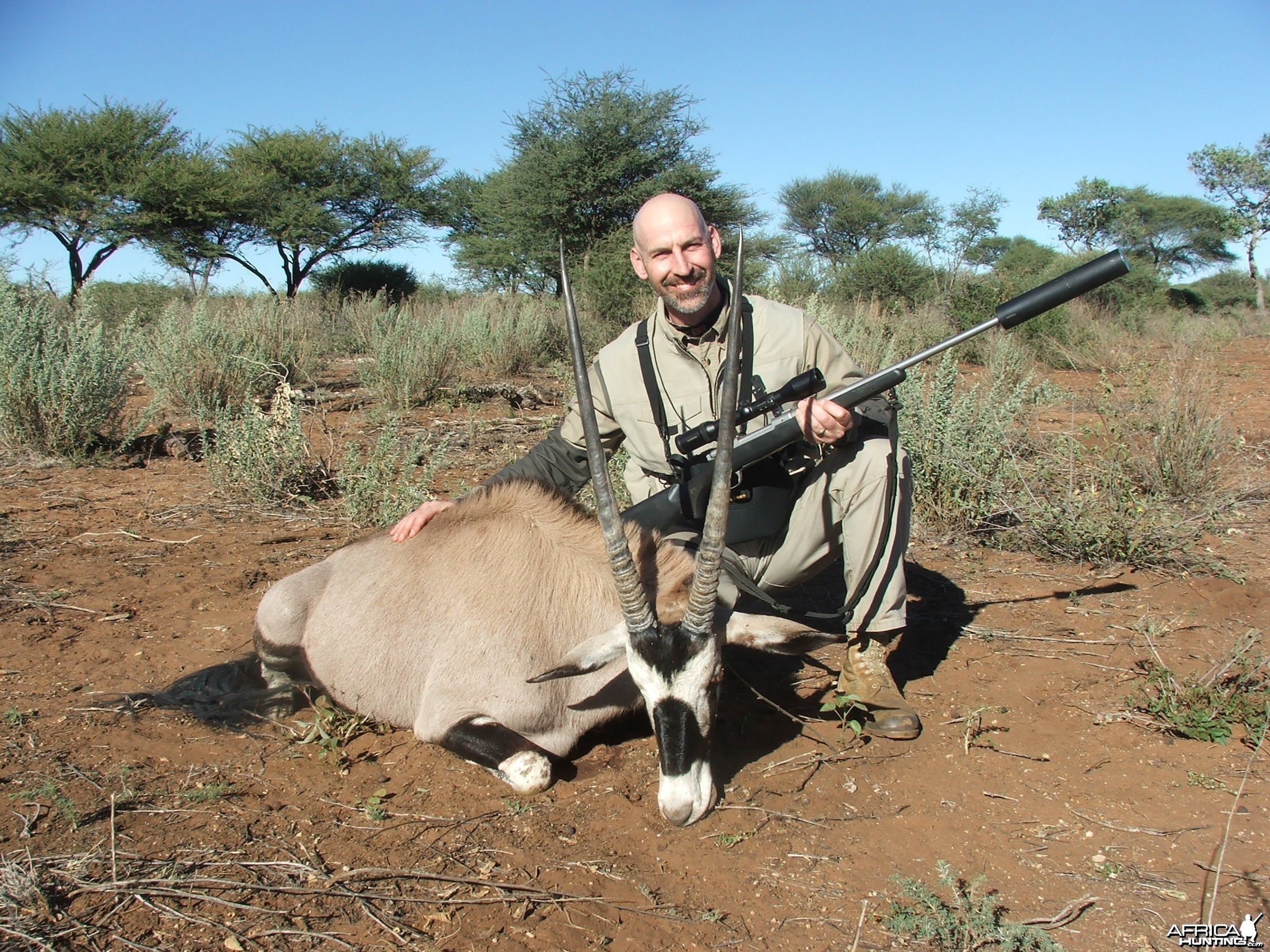 Nice Gemsbuck non-trophy