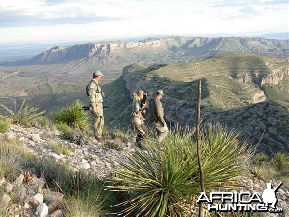 Hunting Desert Bighorn Sheep in Texas