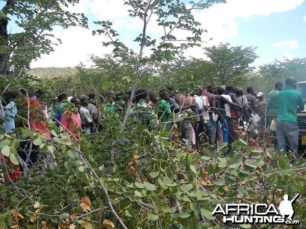 Zimbabwean waiting their turn for some Elephant Meat