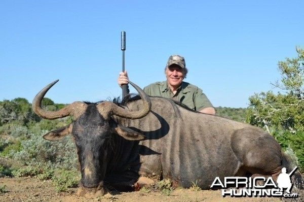 Blue Wildebeest South Africa