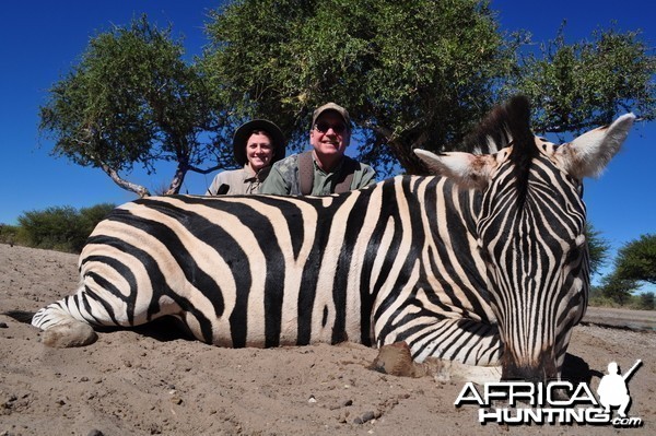 Plains Zebra