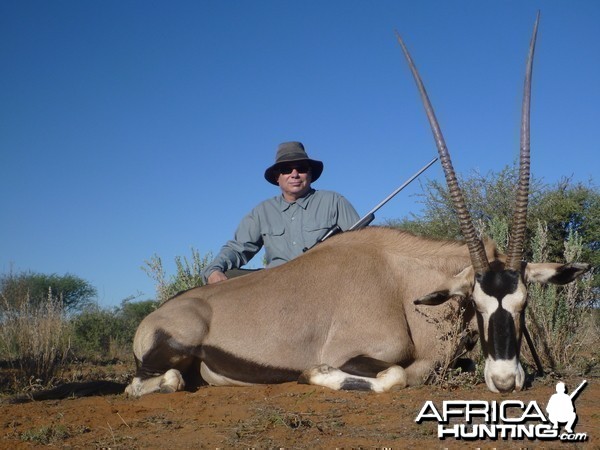 41&quot; Oryx Cow