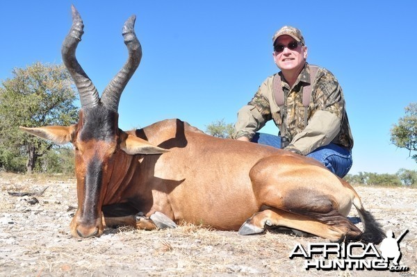 22.5&quot; Red Hartebeest