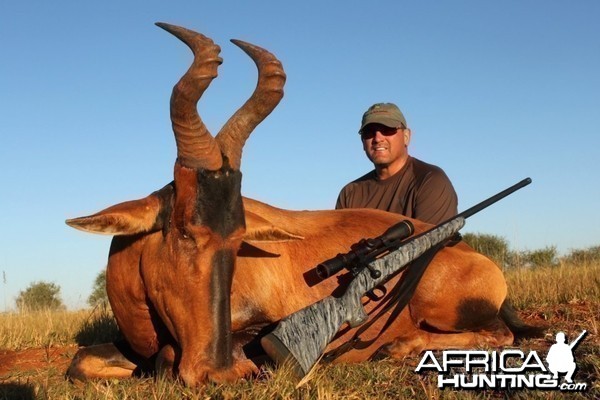 Hartebeest