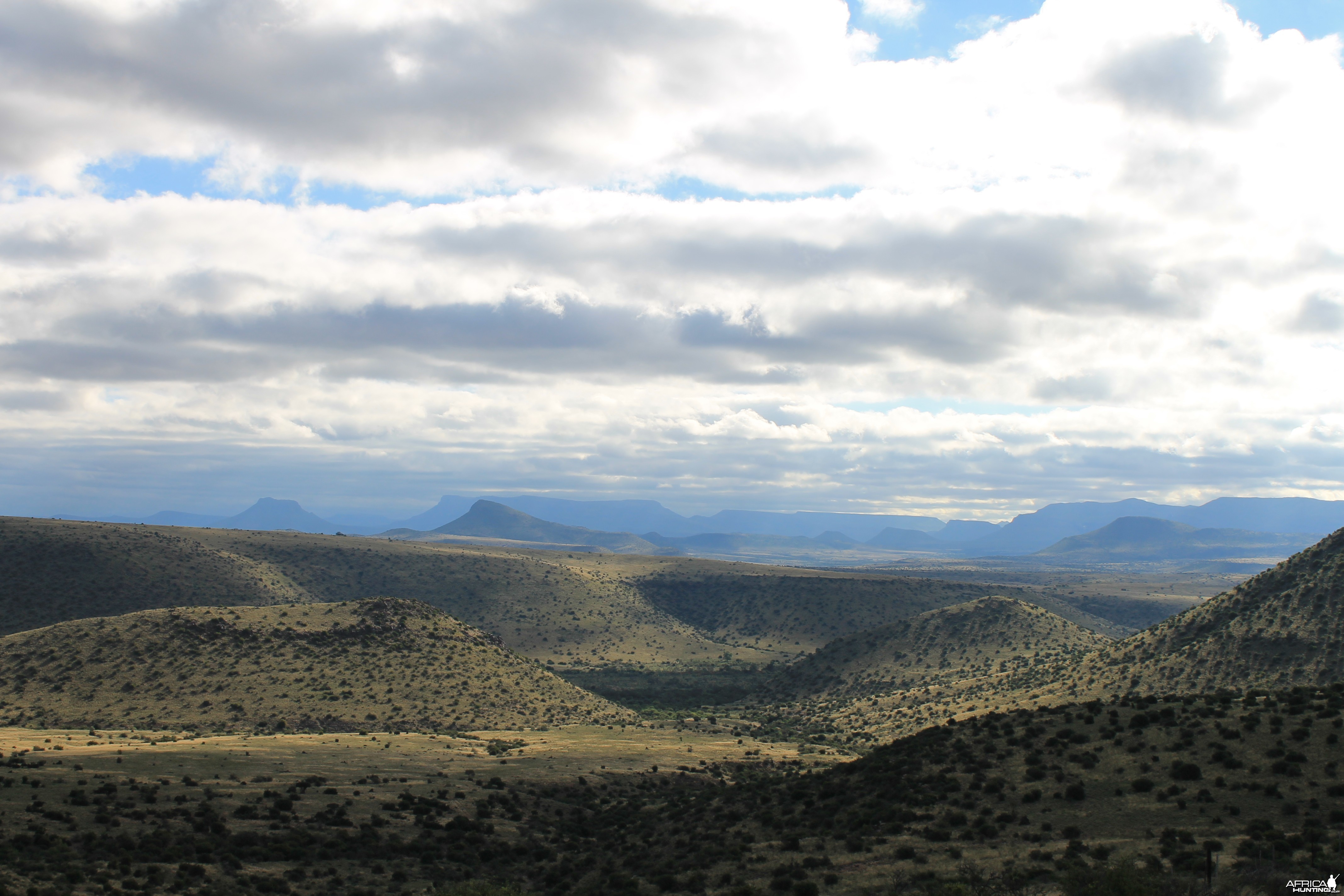 Karoo