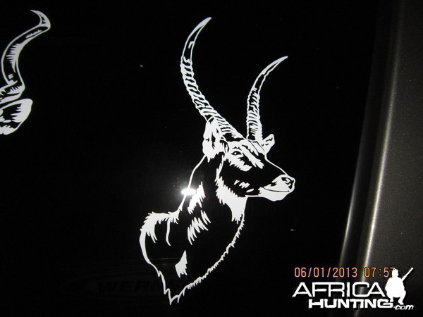 Waterbuck Decal Stickers