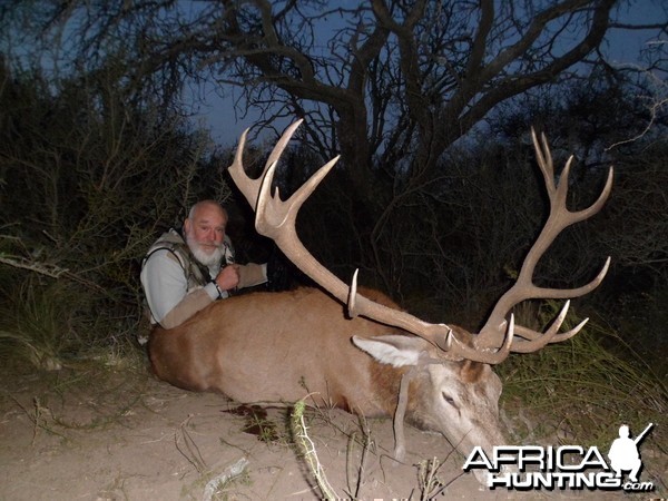 Red Deer hunted in la Pampa afther the roar