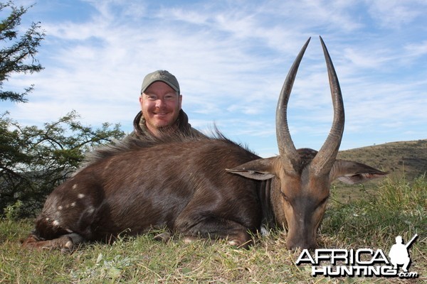 Bushbuck