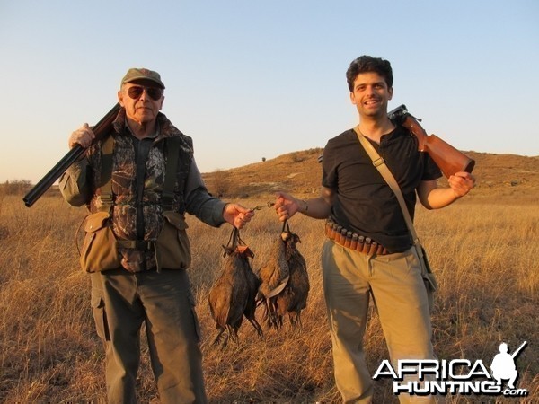 Umdende Hunting Safaris Wingshooting June