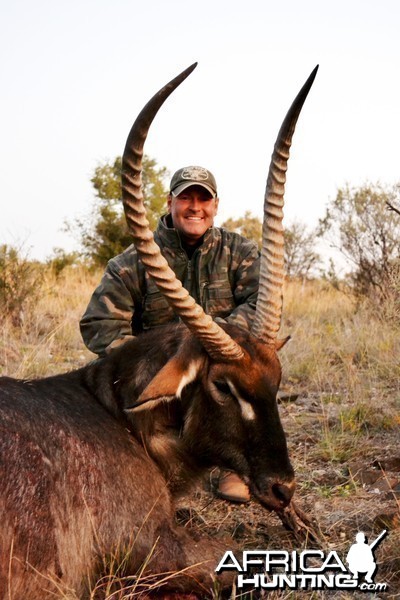 33&quot; Waterbuck bull