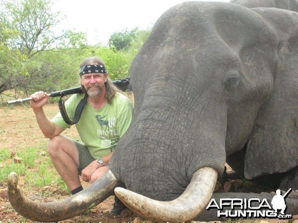 Elephant Sengwe Zimbabwe with Wintershoek Johnny Vivier Safaris