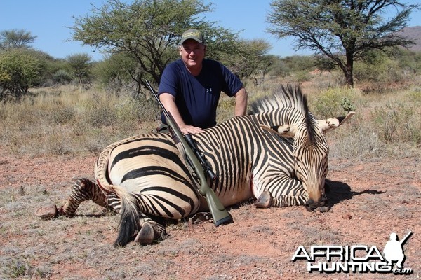 Namibia Hartman's zebra