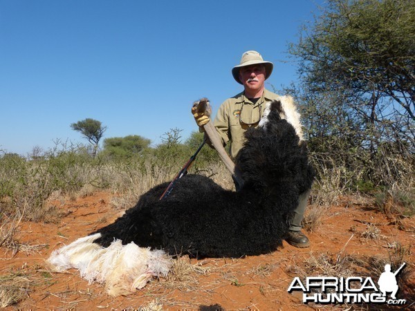 Ostrich hunt with Wintershoek Johnny Vivier Safaris