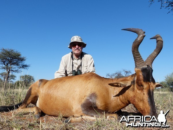 Hartebeest hunt with Wintershoek Johnny Vivier Safaris