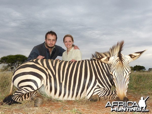 Mountain Zebra hunt with Wintershoek Johnny Vivier Safaris