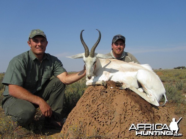 White Springbok hunt with Wintershoek Johnny Vivier Safaris