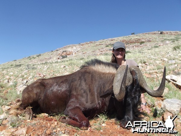 Black Wildebeest hunt with Wintershoek Johnny Vivier Safaris