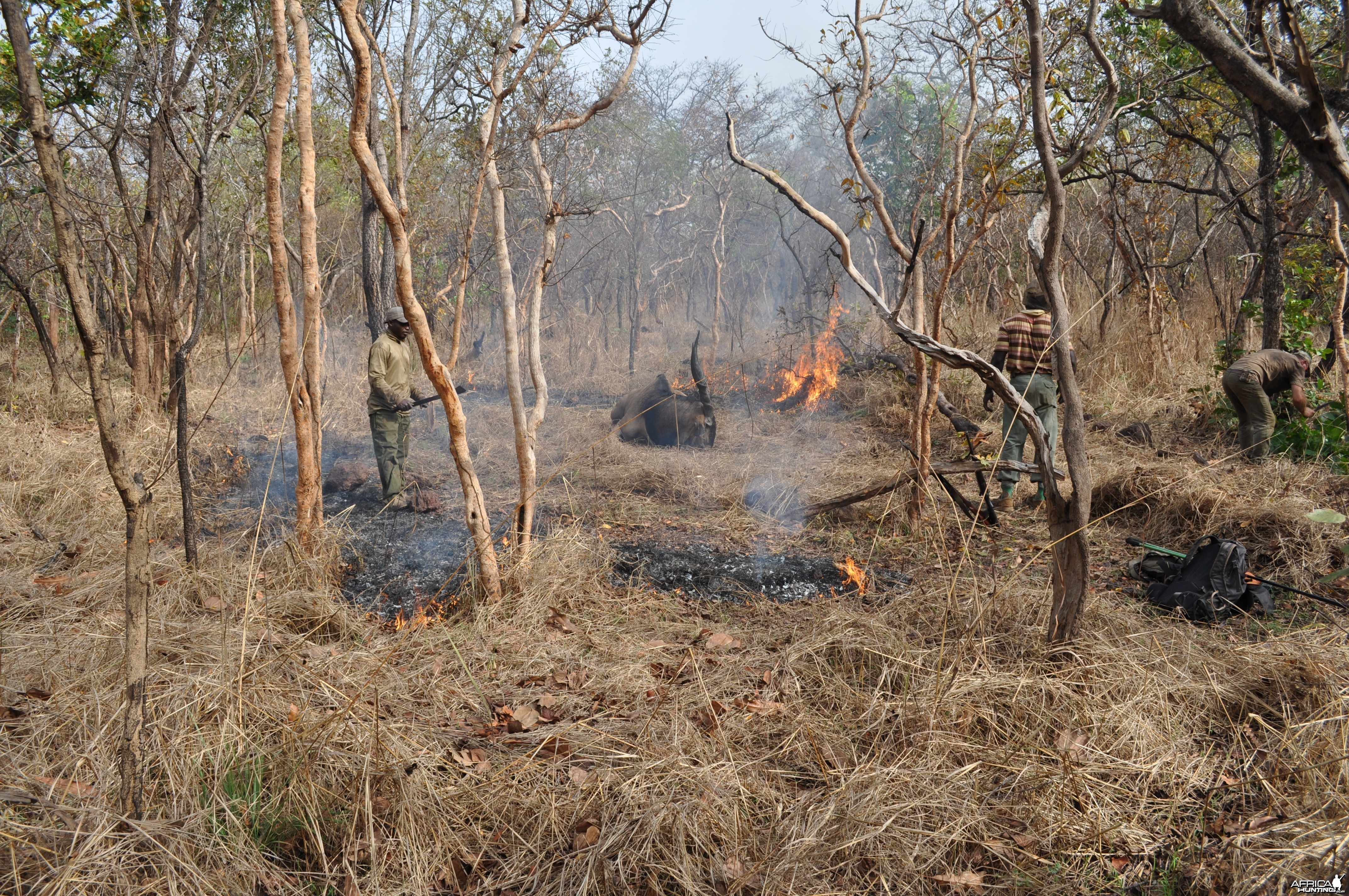 Lord Derby Eland hunt Central African Republic