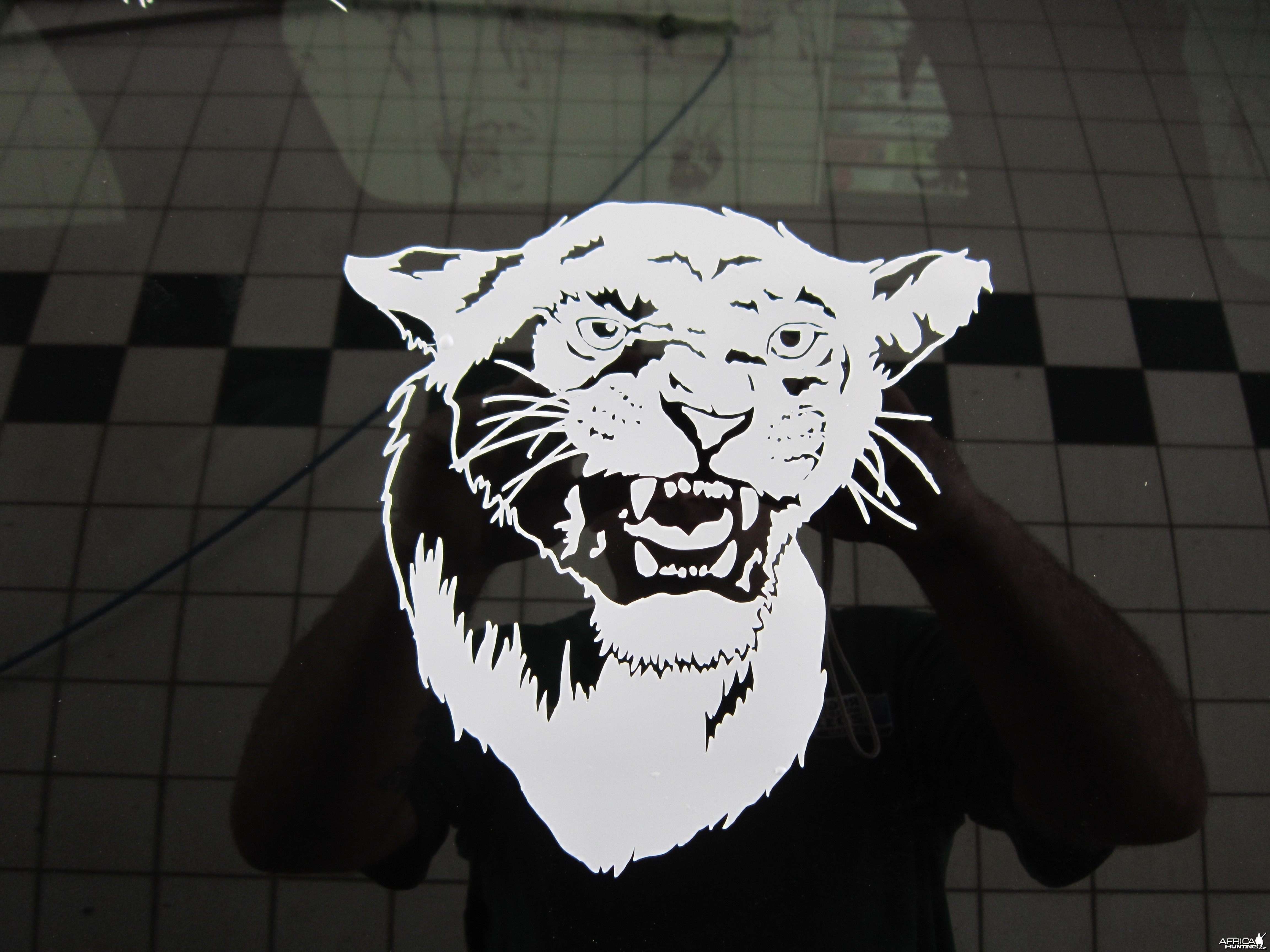 Lioness Decal Stickers
