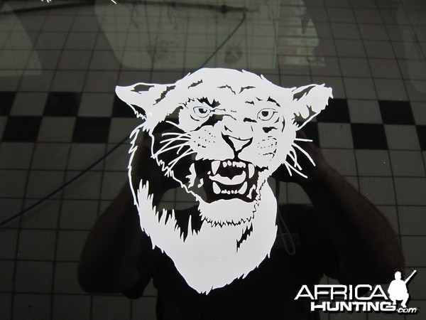 Lioness Decal Stickers