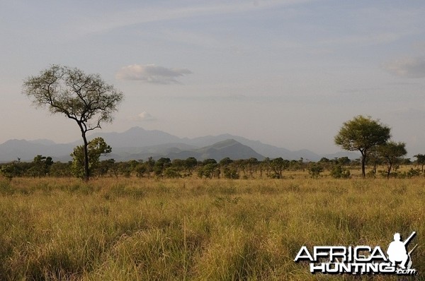 Landscape in Ethiopia