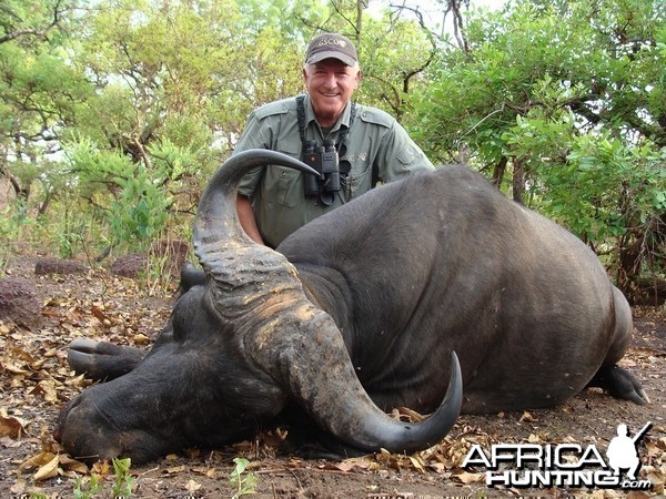 Buffalo hunt with CAWA in CAR