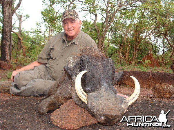 Warthog hunt with CAWA in CAR