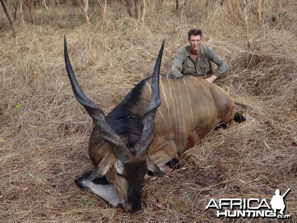 Lord Derby Eland hunt with CAWA in CAR