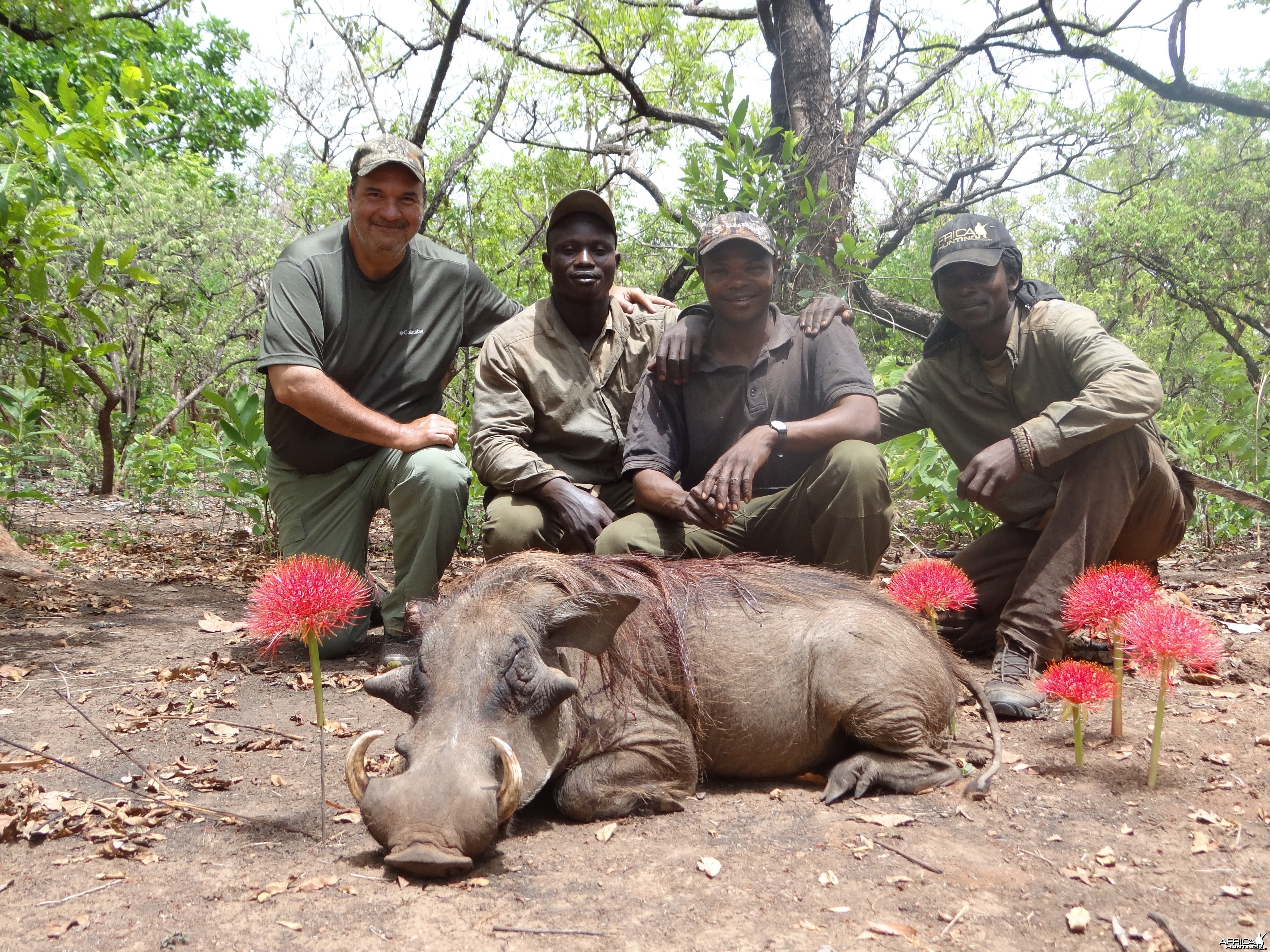 Warthog hunt with CAWA in CAR
