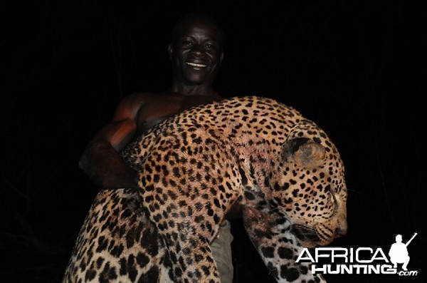 Leopard hunt with CAWA in CAR