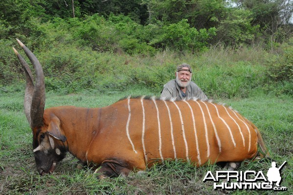 Bongo hunt with CAWA in CAR