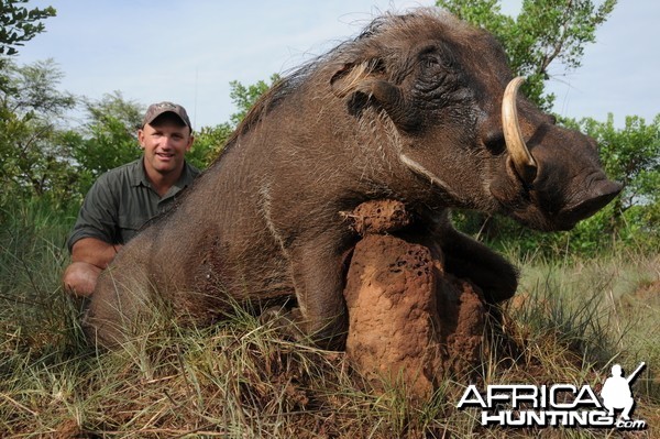 Warthog hunt with CAWA in CAR