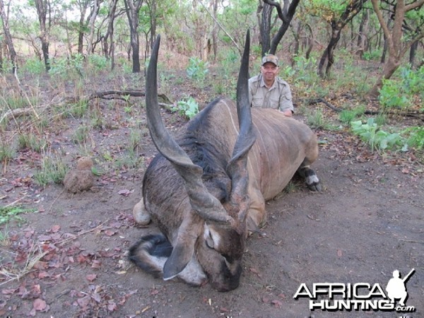 Lord Derby Eland hunt with CAWA in CAR