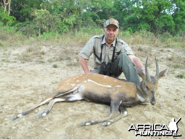 Harnessed Bushbuck hunt with CAWA in CAR