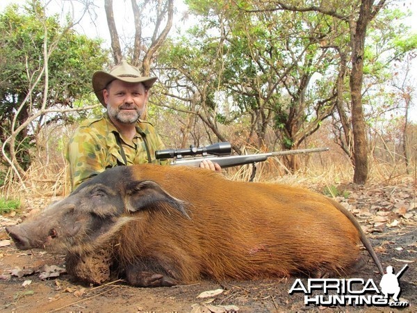 Red River Hog hunt with CAWA in CAR