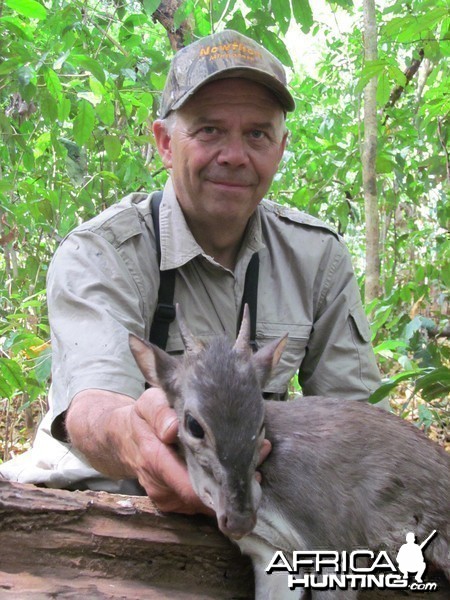 Blue Duiker hunt with CAWA in CAR