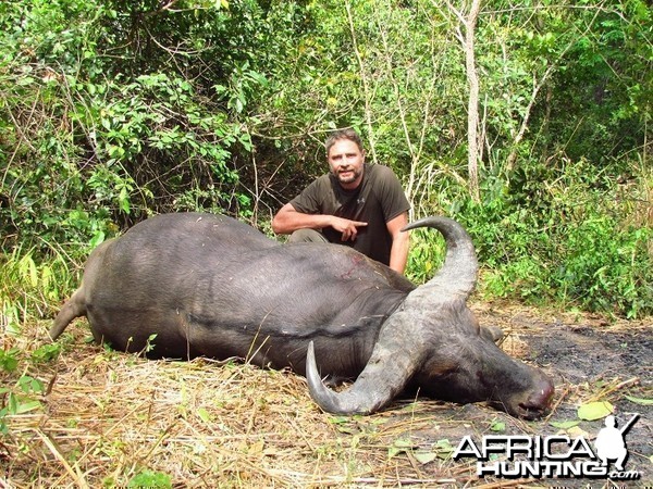 Buffalo hunt with CAWA in CAR