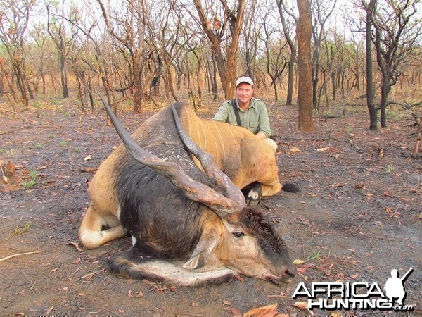 Lord Derby Eland hunt with CAWA in CAR