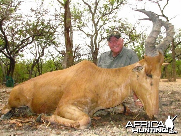 Lelwed Hartebeest hunt with CAWA in CAR