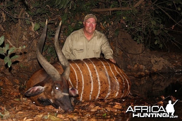 Bongo hunt with CAWA in CAR