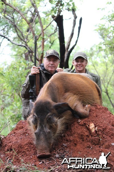 Red River Hog hunt with CAWA in CAR