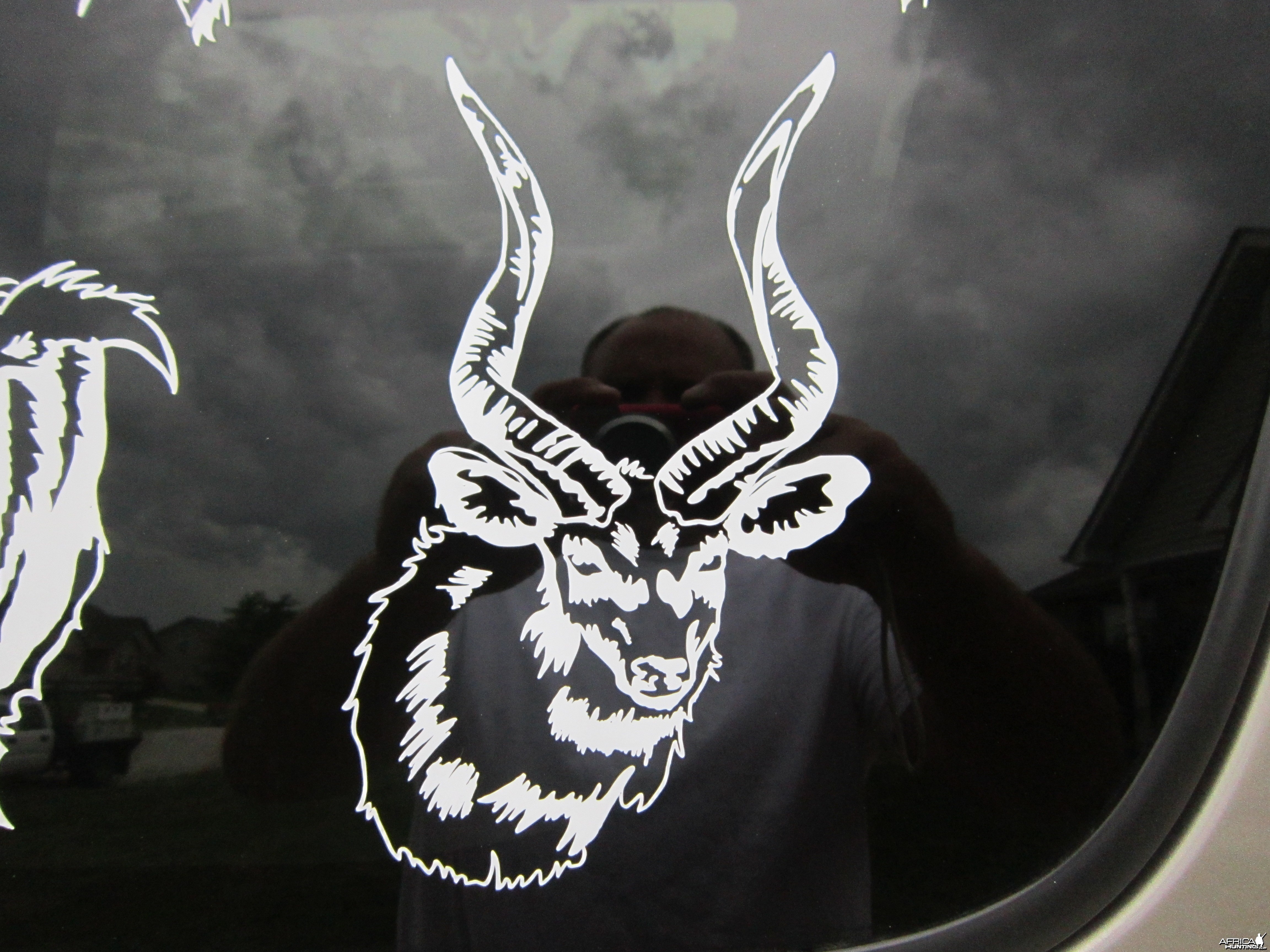 Sitatunga Decal Stickers