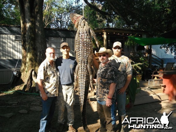 LOUISIANA ALLIGATOR HUNT